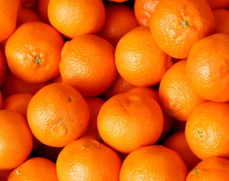辰颐物语：早熟柑橘纷纷上市 价格走势将如何？