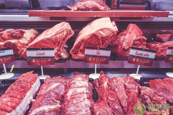 人造培养肉是怎么做出来的？它的营养成分如何？好吃吗？