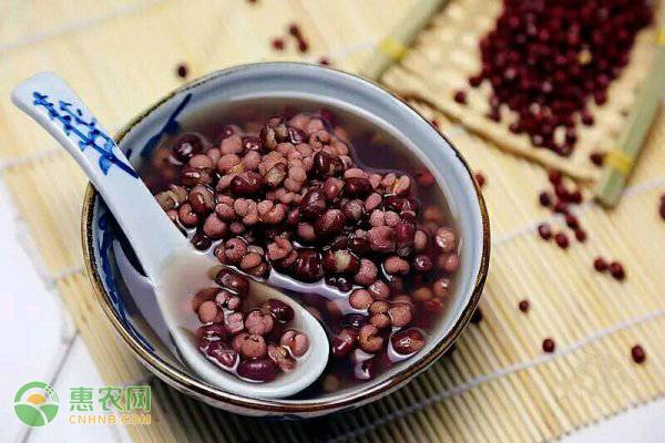 黑龙江红小豆产地在哪里？代表黑龙江的红小豆是哪一品种？