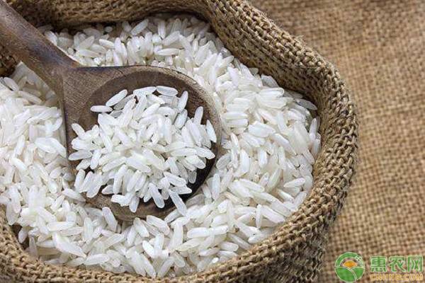 粳米是大米吗？粳米和大米的区别在哪？