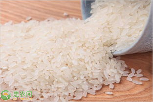 黑龙江五常大米价格多少钱一斤？如何挑选品质优良的五常大米？