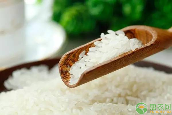 五常大米稻花香价格表多少钱一斤？挑选五常大米稻花香技巧
