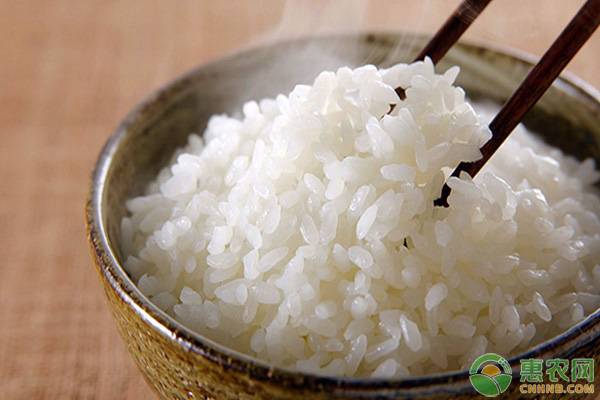 盘锦大米的特点和产地是什么？为何盘锦大米品质如此优越？