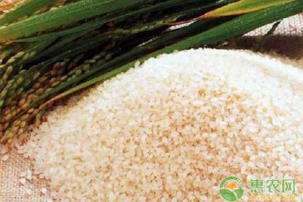 有机大米和绿色大米有什么区别？看完一清二楚！
