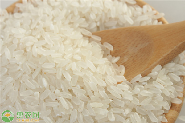 盘锦大米价格多少钱一斤？盘锦大米产量多少一亩？