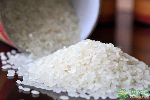 有机大米哪个牌子好？有机大米多少钱一斤？