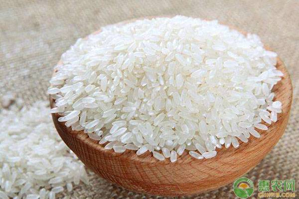 响水大米多少钱一斤？响水大米和五常大米哪个好？