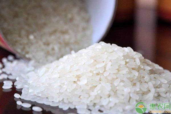 五常有机大米多少钱一斤？为什么价格那么贵？