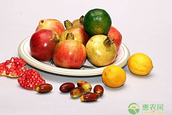 12月份全国水果价格行情预测，水果合理定价的参考因素