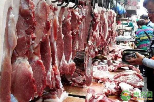 12月份猪肉价格行情：猪肉价格又要上涨呢？