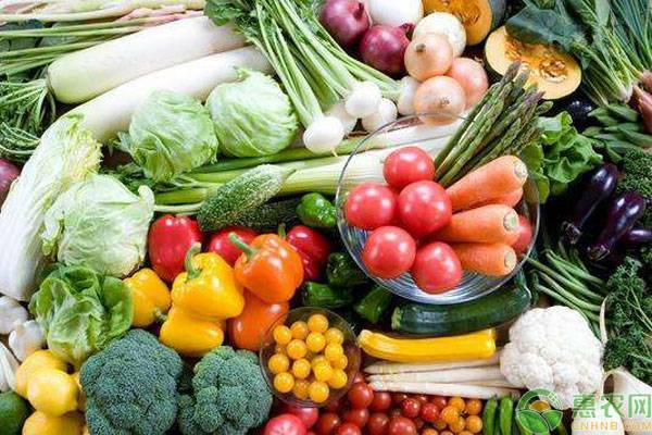12月份全国蔬菜价格行情预测