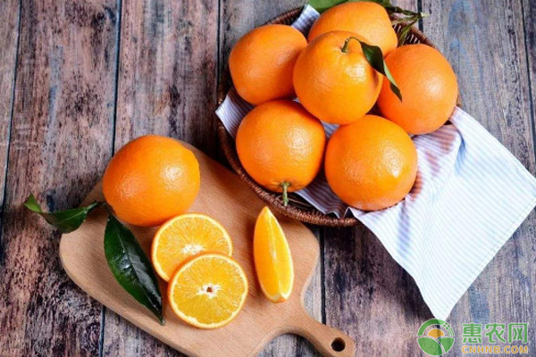 橙子有哪些品种？