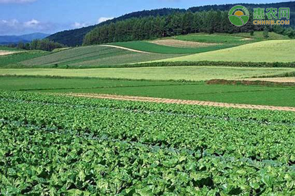 农业产业化经营概念及主要模式