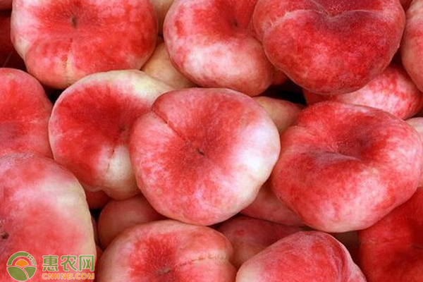 蟠桃品种哪种最好？